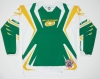 Maillot Rogue - 2008 -